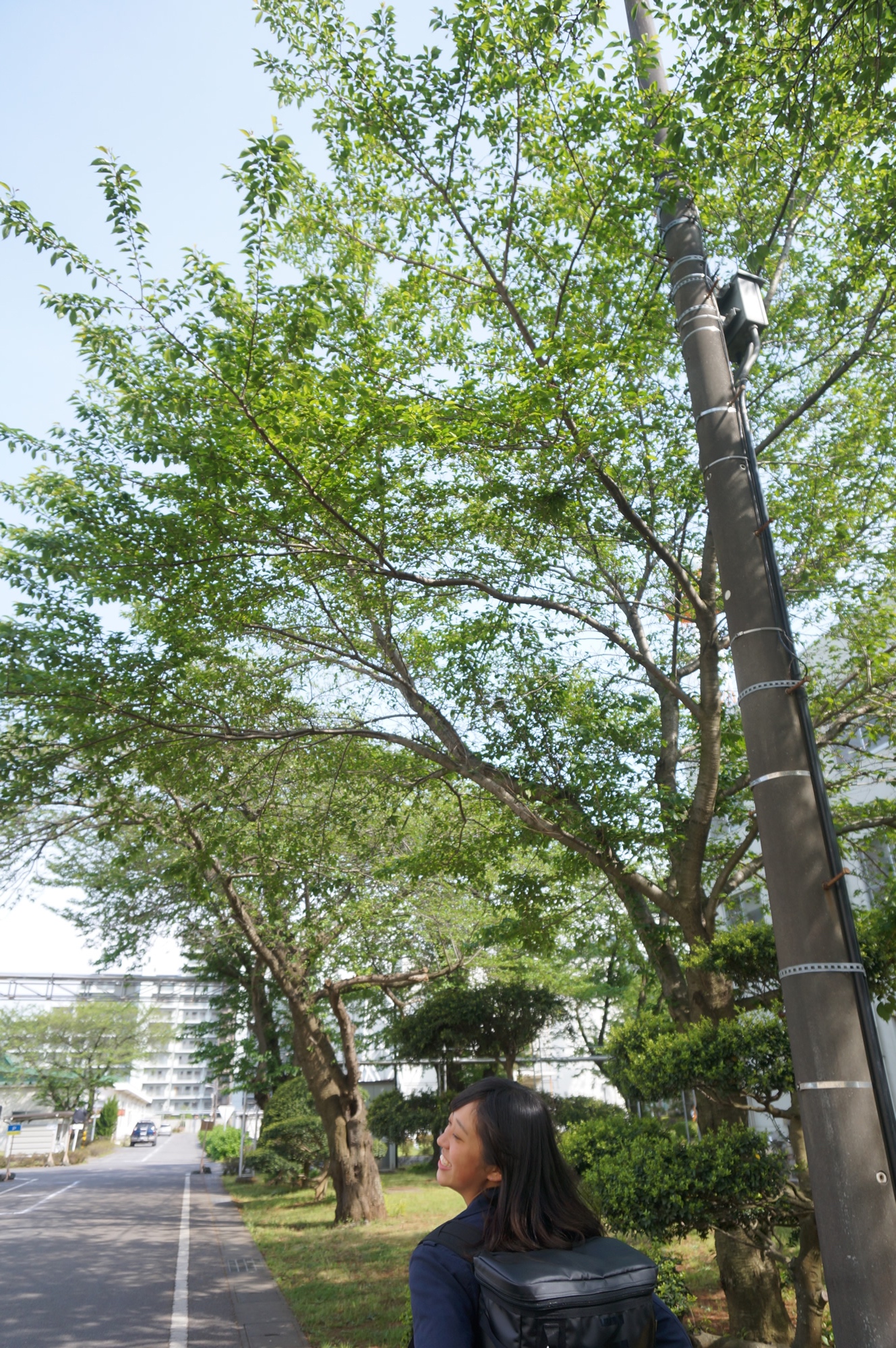 DSC04897