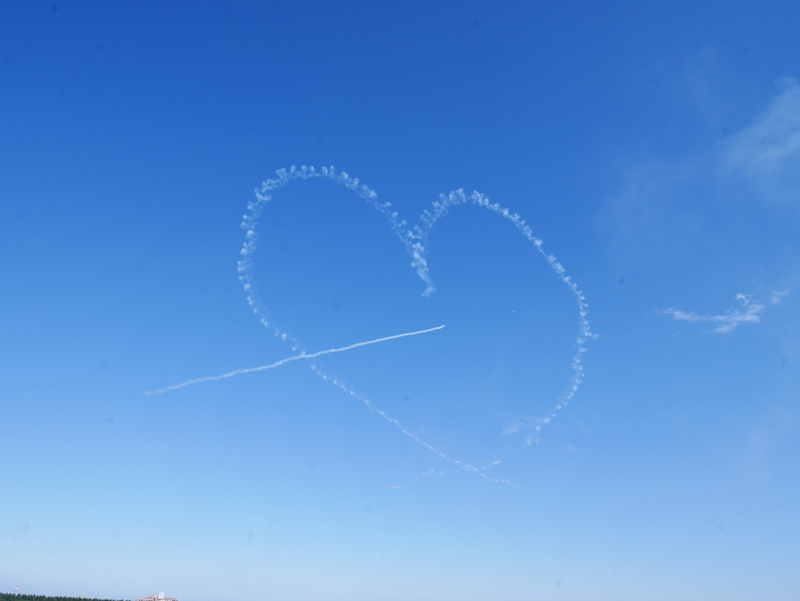 11/3(祝)入間基地航空祭2016《後編》 自衛隊プレミアムクラブ